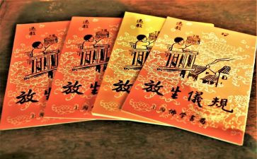 保护生态文明建设心得体会6篇