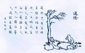 保护生态环境工作总结7篇