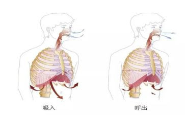 呼吸科的自我鉴定范文6篇