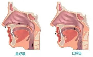 呼吸内科医生年终总结5篇