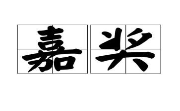 嘉奖个人主要事迹500字5篇