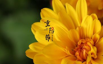 中秋佳节话团圆演讲稿5篇