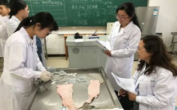 鉴定科工作总结6篇