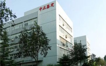 鉴定所年度工作总结5篇