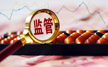 监管的心得体会5篇