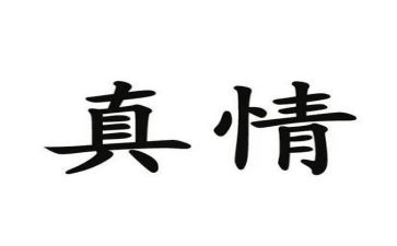 真情自然流露的作文500字6篇