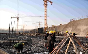 团队建设体会心得体会优质8篇