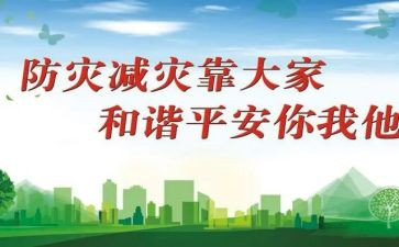 乡镇防灾减灾活动总结8篇