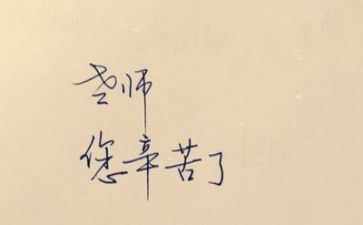 当教师员个人总结范文推荐8篇