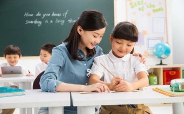 教师述职报告2024年个人总结5篇