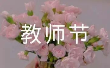 教师对教师节的心得体会优质5篇