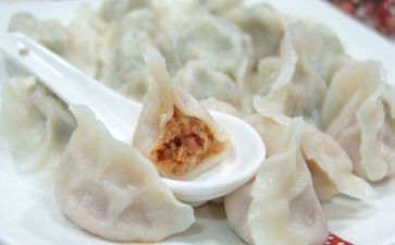 饺子的爱作文7篇