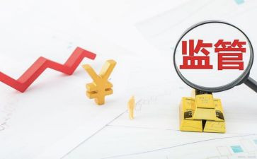 2024年稽查员工作月总结推荐6篇