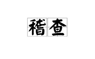 2024稽查工作总结5篇