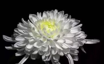 清明节祭奠英烈活动总结6篇