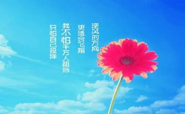 团队激励演讲稿6篇