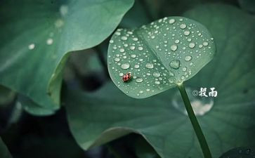 你和节气的故事作文7篇