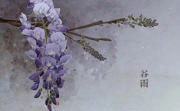 节气的作文推荐5篇