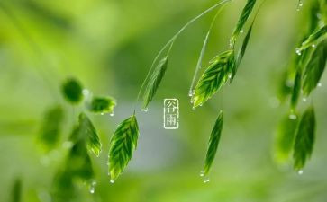 节气的作文最新6篇