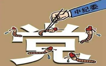 区纪委个人述职报告6篇