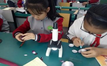 科学课活动总结5篇
