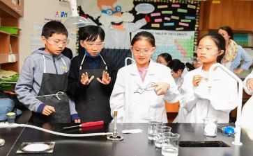 科学课教师总结推荐6篇