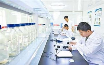 科研工作计划模板5篇