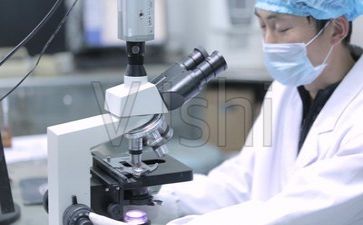 科研月工作总结报告6篇