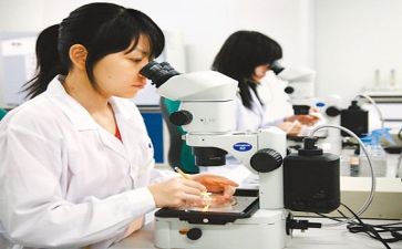 科研年终工作总结6篇