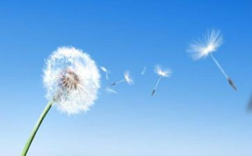 空气污染的调查报告推荐5篇