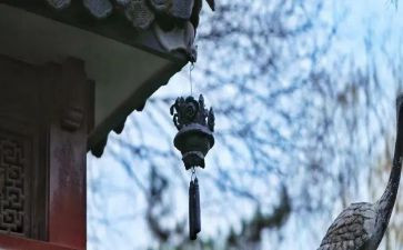 护士的苦与乐演讲稿精选7篇