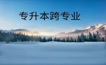 跨专业申请书范文6篇