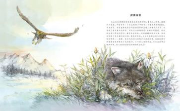 狼王梦读后感300字7篇