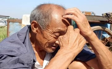 进社区关爱老人活动总结8篇