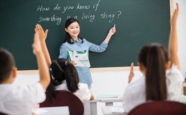 老师工作总结范文最新8篇
