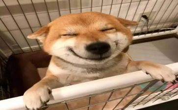 快乐伴我成长作文优质8篇
