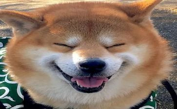 快乐伴我成长作文推荐6篇