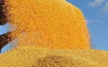 粮食工作个人年终总结5篇