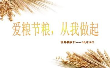粮食节活动方案5篇