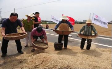 粮食节活动策划8篇