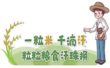 粮食节活动方案模板5篇