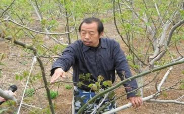 李保国心得体会6篇
