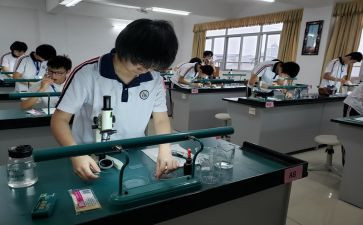 理化生教研组工作总结作总结7篇