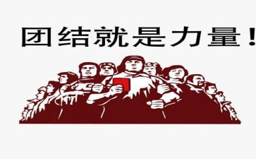 《团结就是力量》心得体会8篇