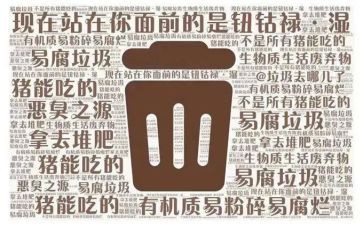 关于捡垃圾的调查报告5篇