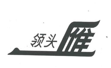 2023年领头雁培训心得体会7篇