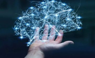 中班科学领域活动方案7篇