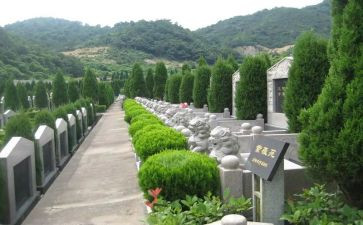 2024烈士陵园参观心得体会6篇