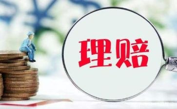 保险公司理赔半年度工作总结7篇