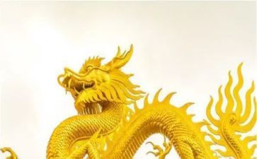 龙子湖餐饮调研报告8篇
